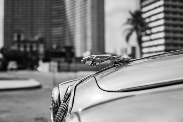 WagerWeb Kazino Android/iOS Lietotne